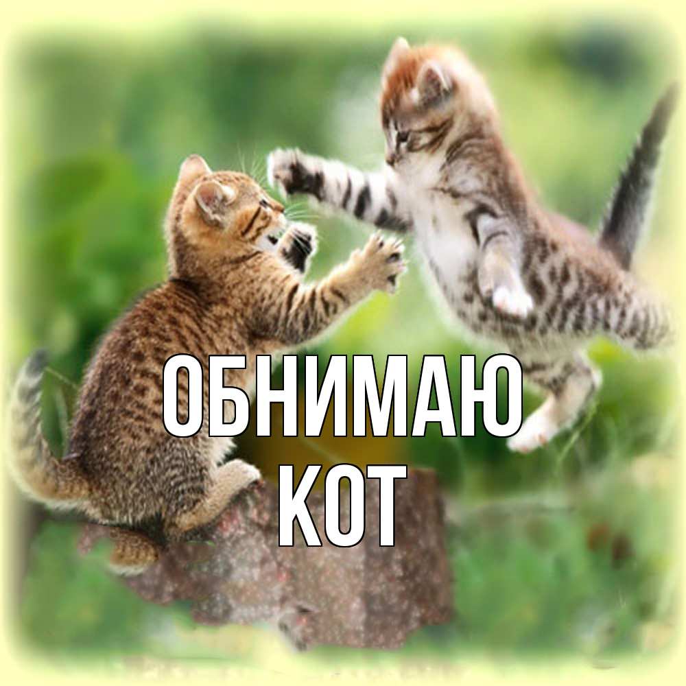 Открытка  с именем. КОТ, Обнимаю  