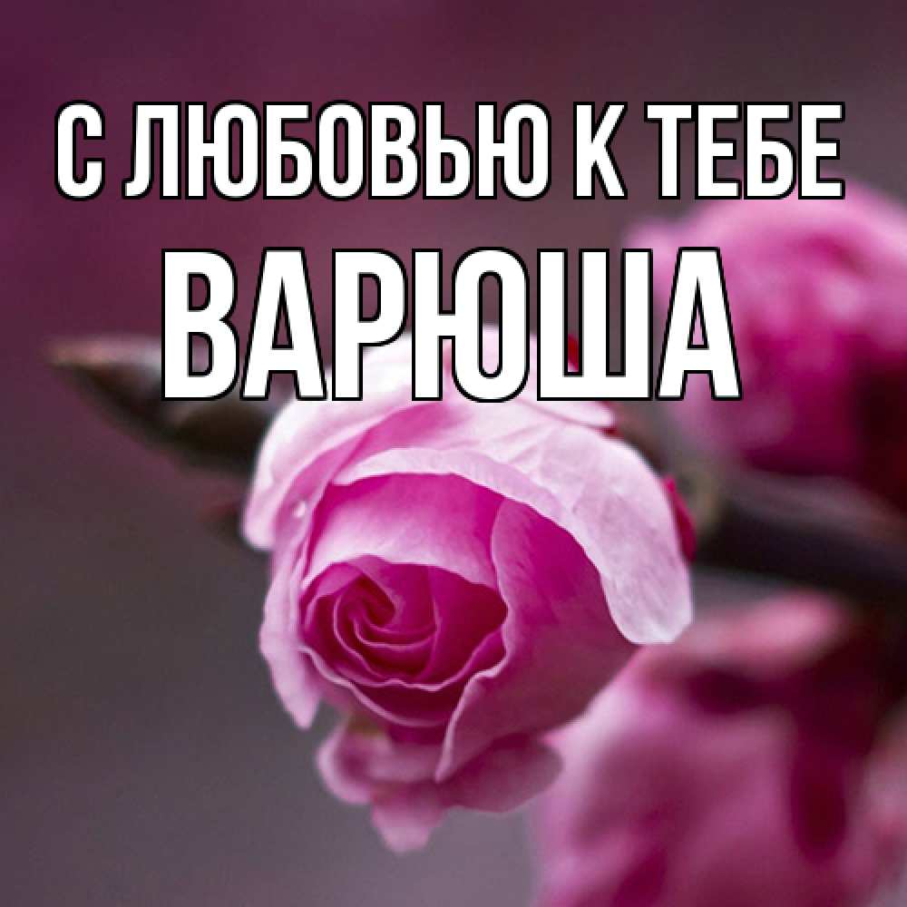 Открытка  с именем. Варюша, С любовью к тебе  