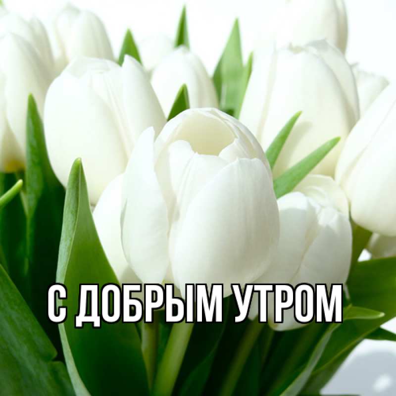 Картинка С добрым утром, 