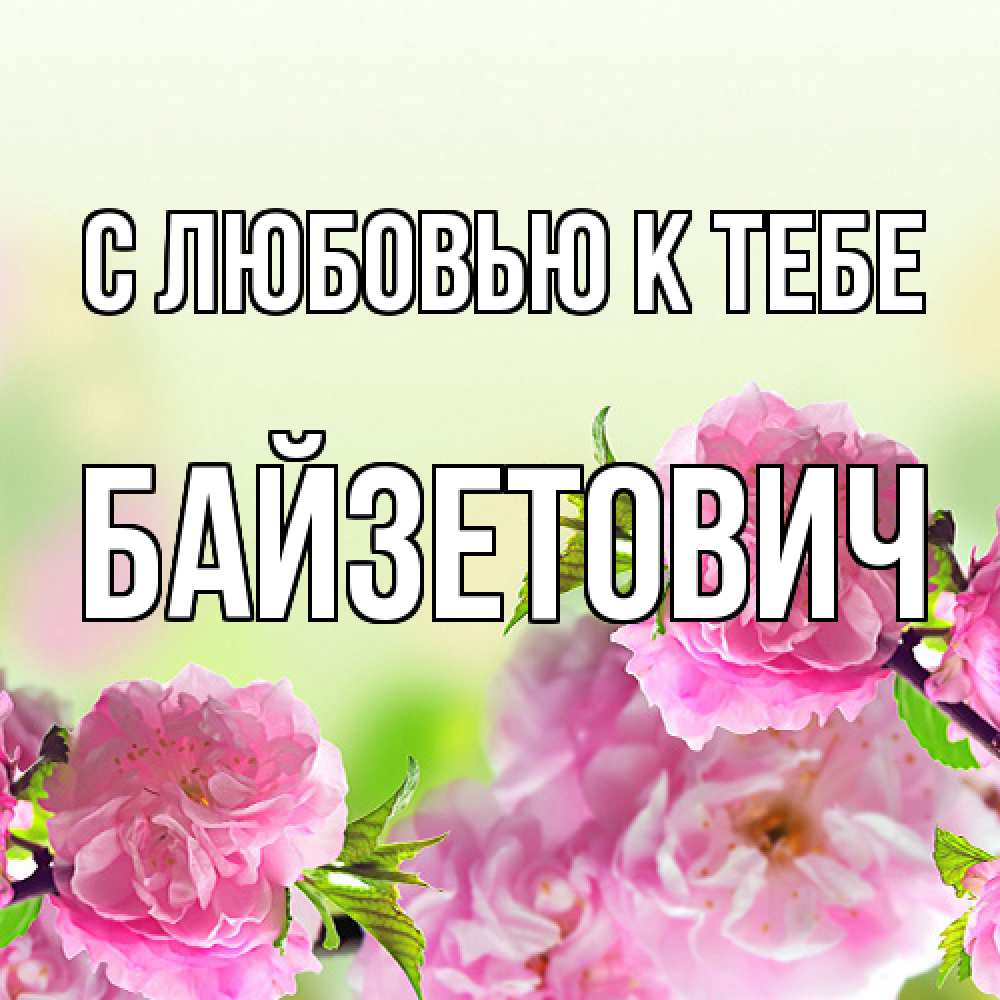 Открытка  с именем. Байзетович, С любовью к тебе  