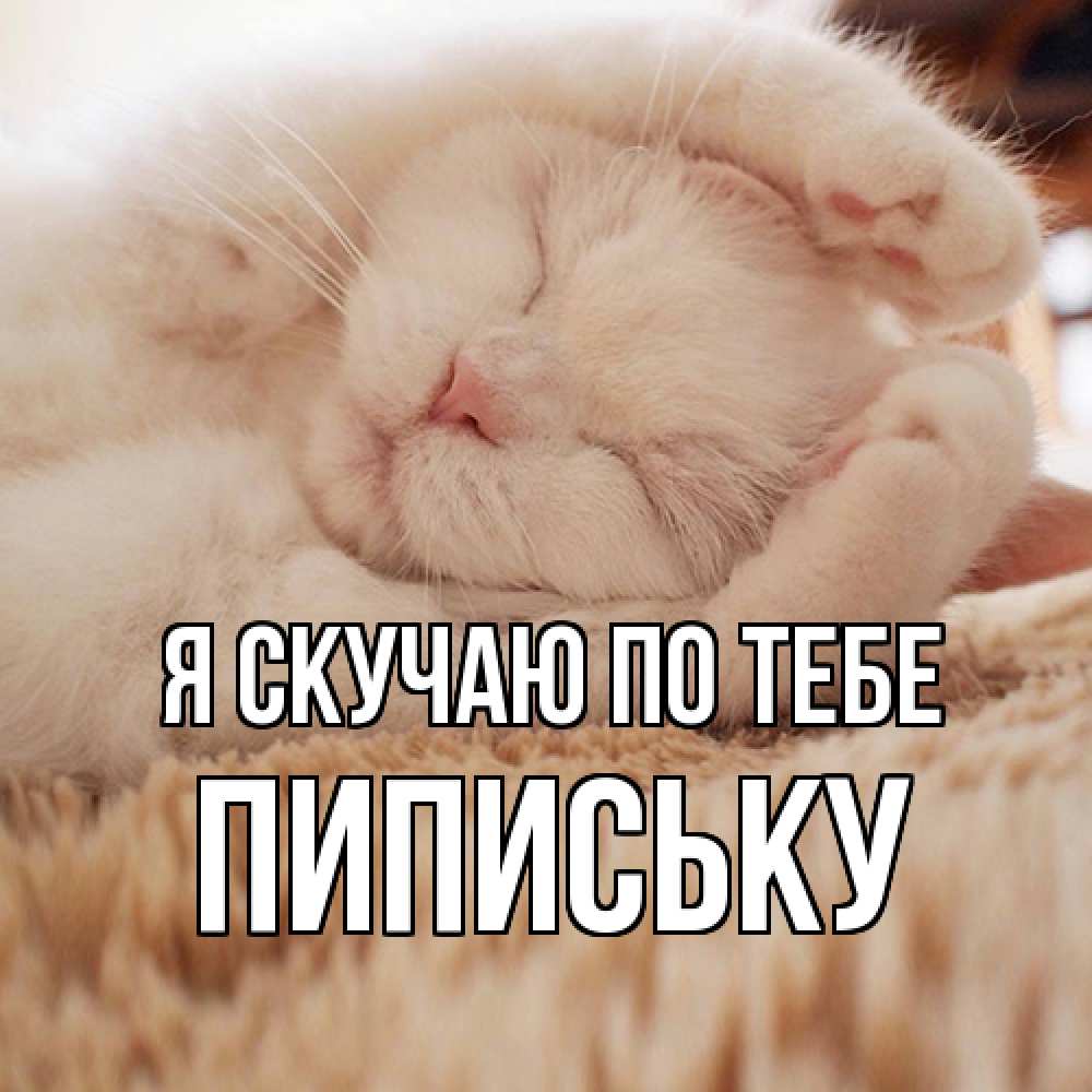 Открытка  с именем. Пипиську, Я скучаю по тебе  