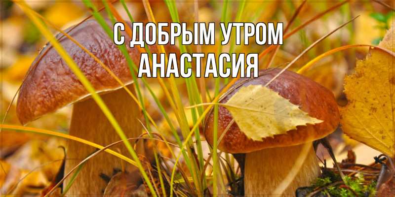 Картинка С добрым утром, Анастасия