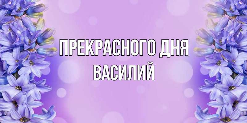 Картинка Прекрасного дня, Василий