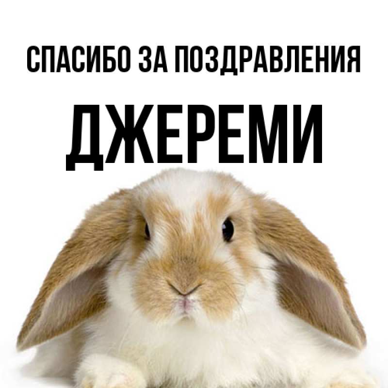 Картинка Спасибо за поздравления, Джереми