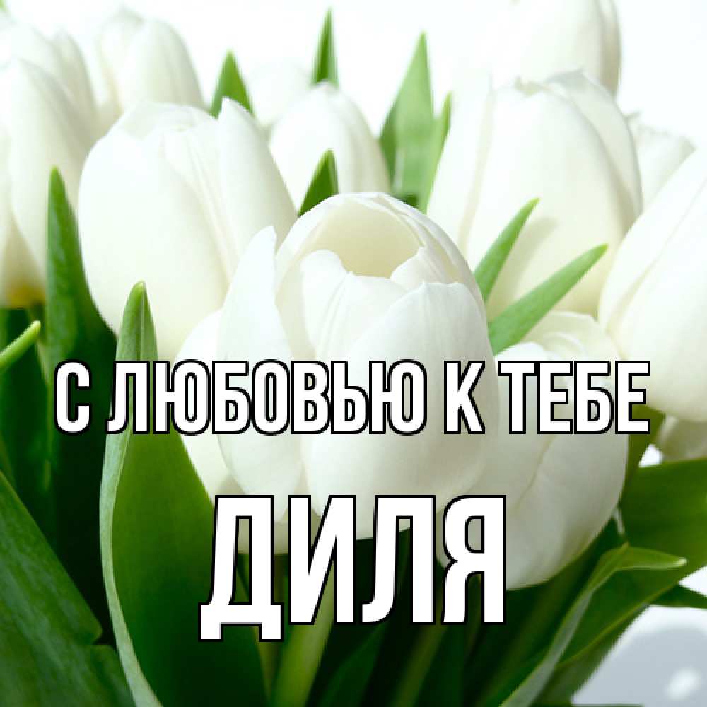 Открытка  с именем. Диля, С любовью к тебе  