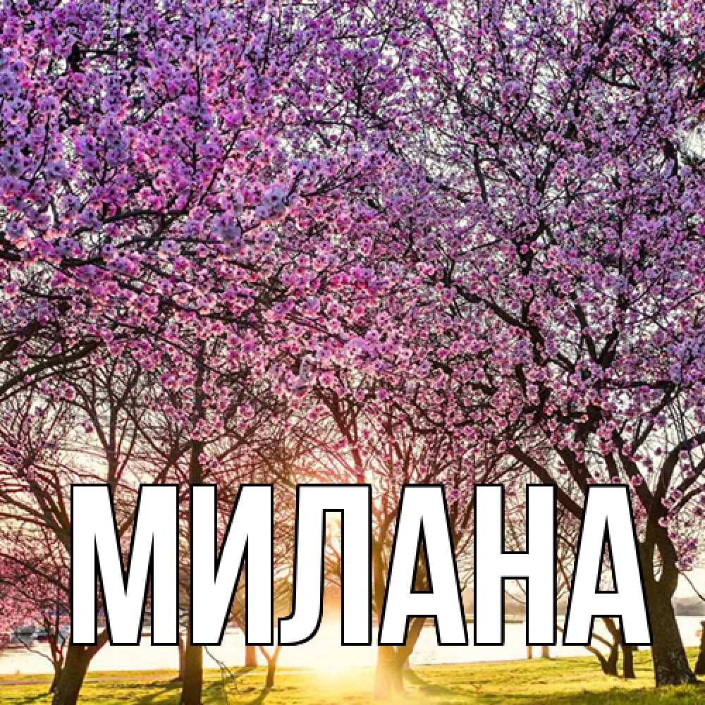 Открытка  с именем. Милана, Главная  