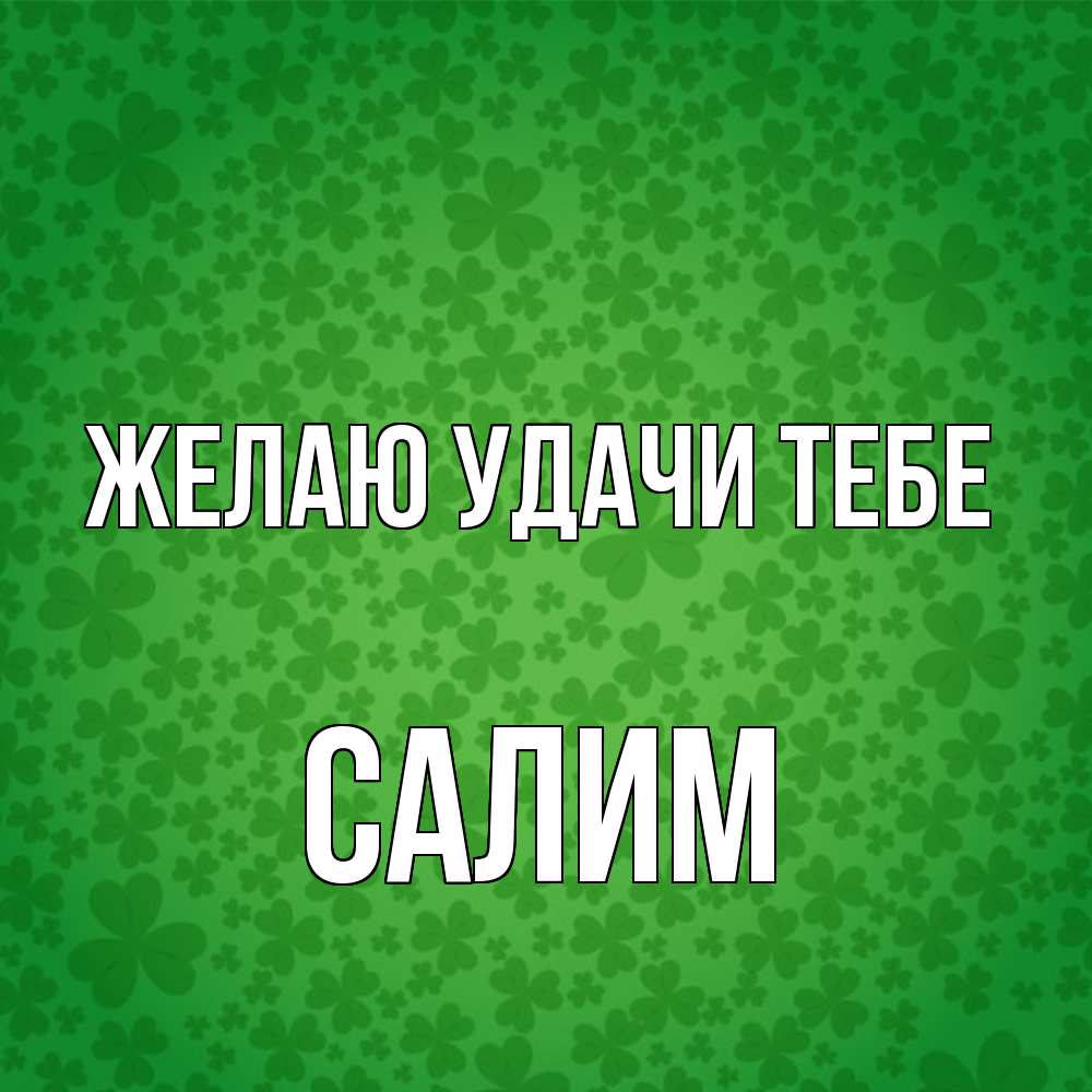 Открытка  с именем. Салим, Желаю удачи тебе  