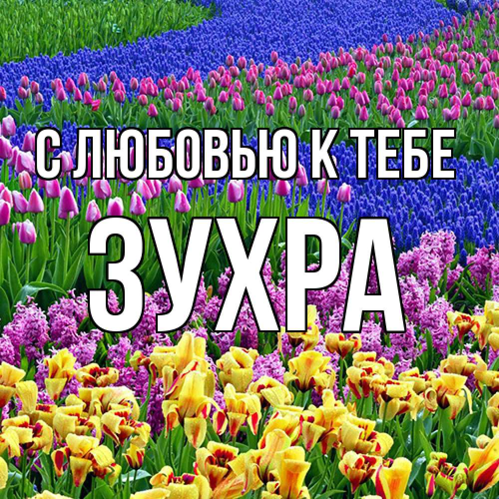 Открытка  с именем. Зухра, С любовью к тебе  