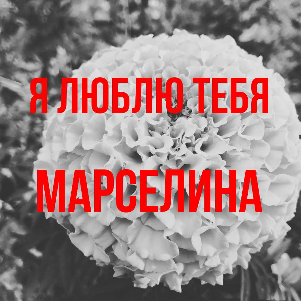 Открытка  с именем. Марселина, Я люблю тебя  