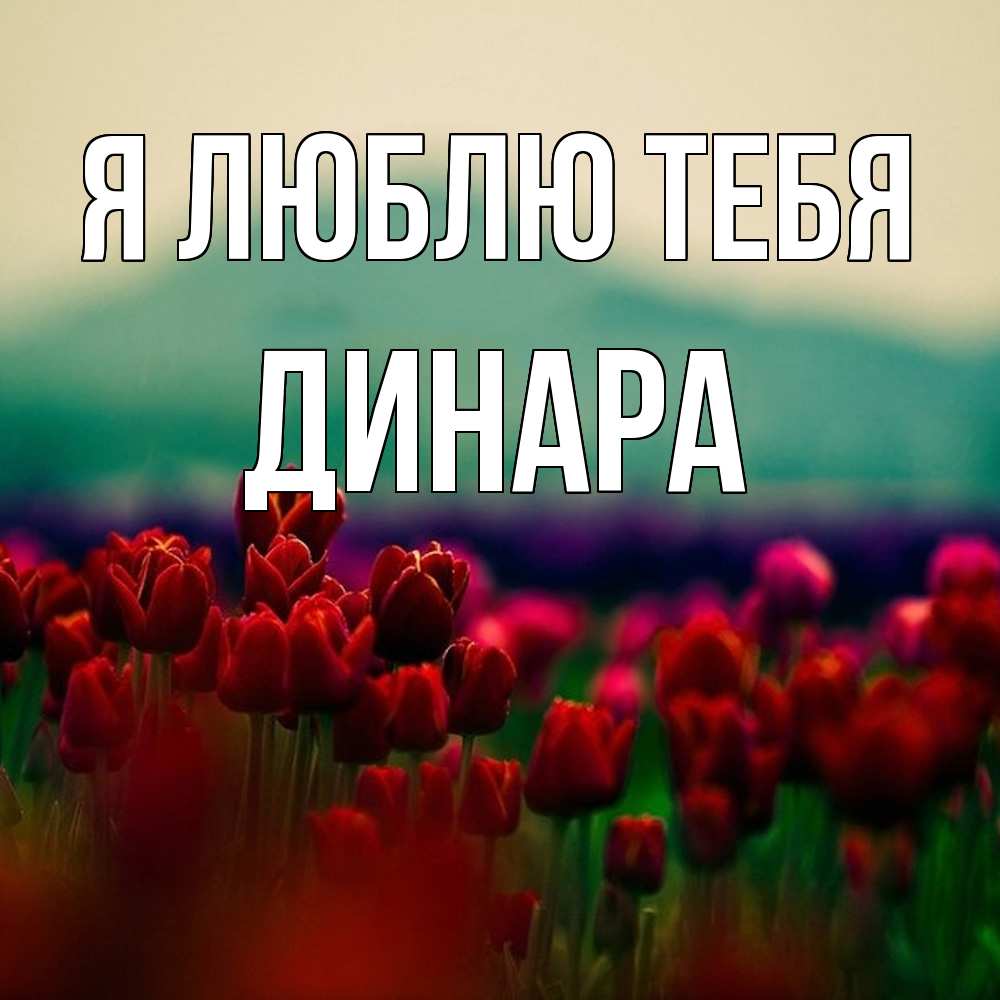 Открытка  с именем. Динара, Я люблю тебя  