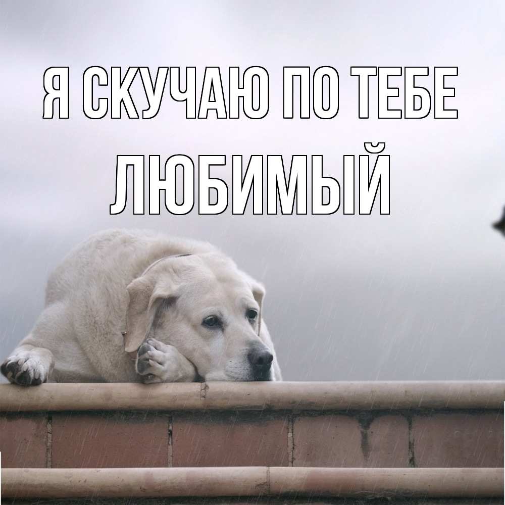 Открытка  с именем. Любимый, Я скучаю по тебе  