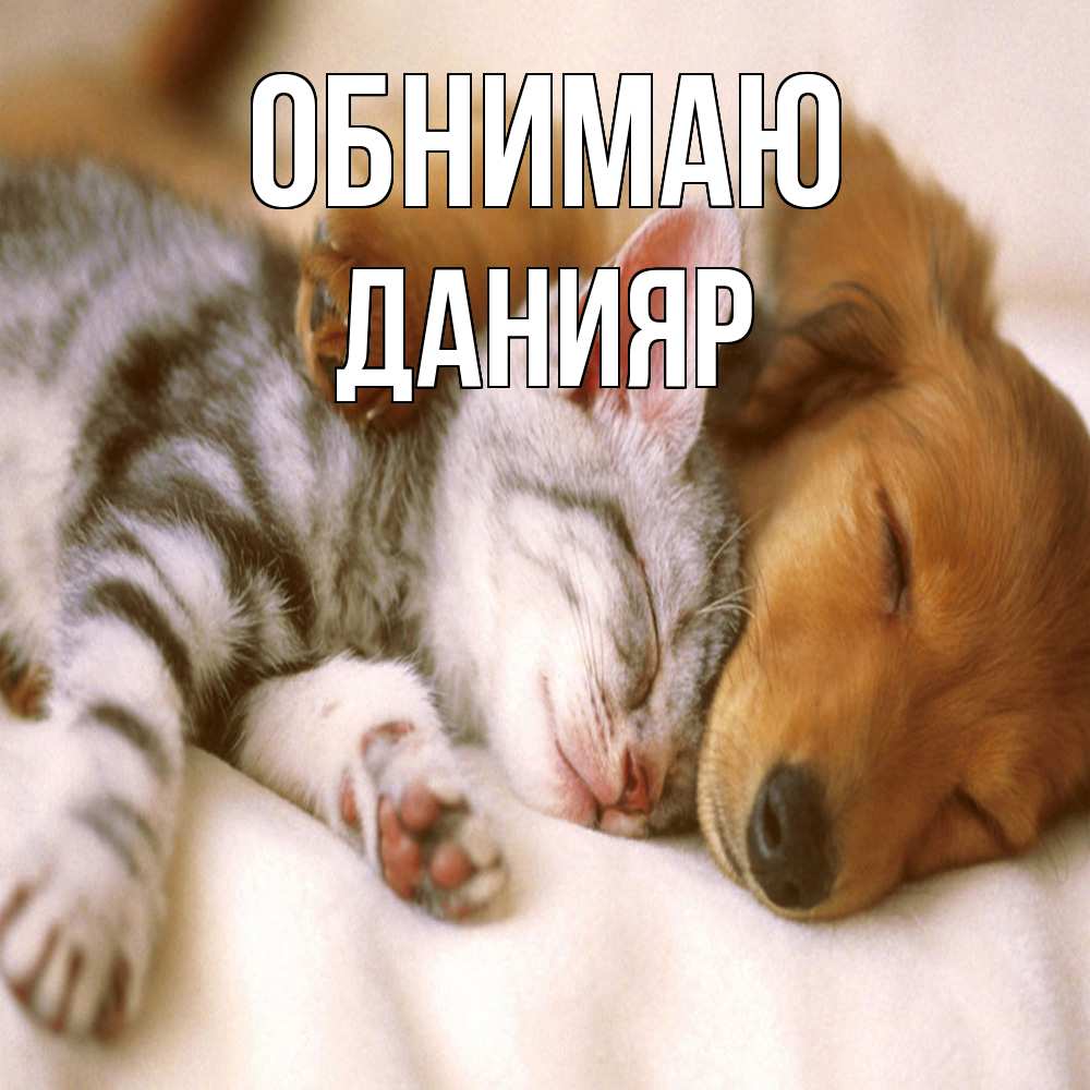 Открытка  с именем. Данияр, Обнимаю  