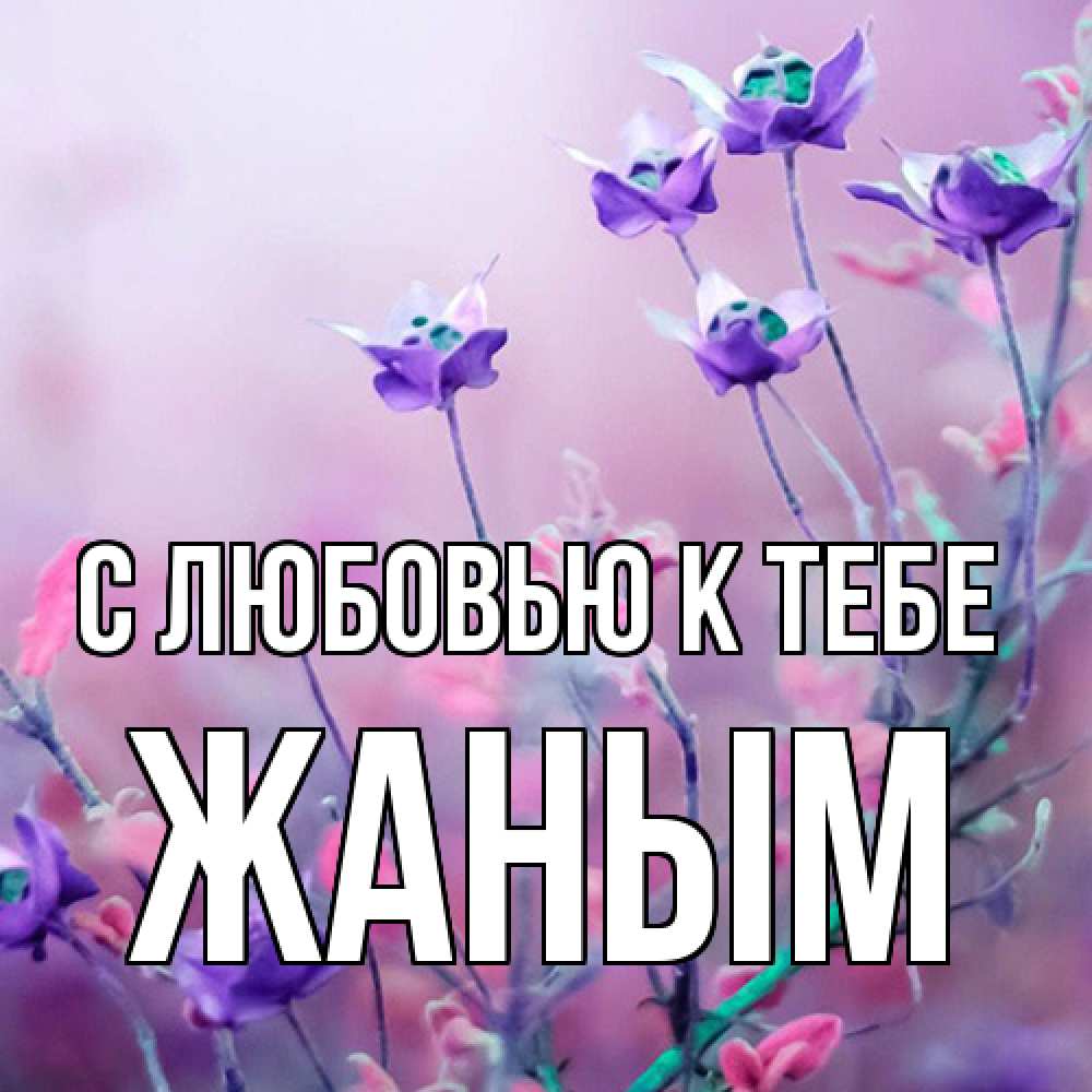 Открытка  с именем. Жаным, С любовью к тебе  