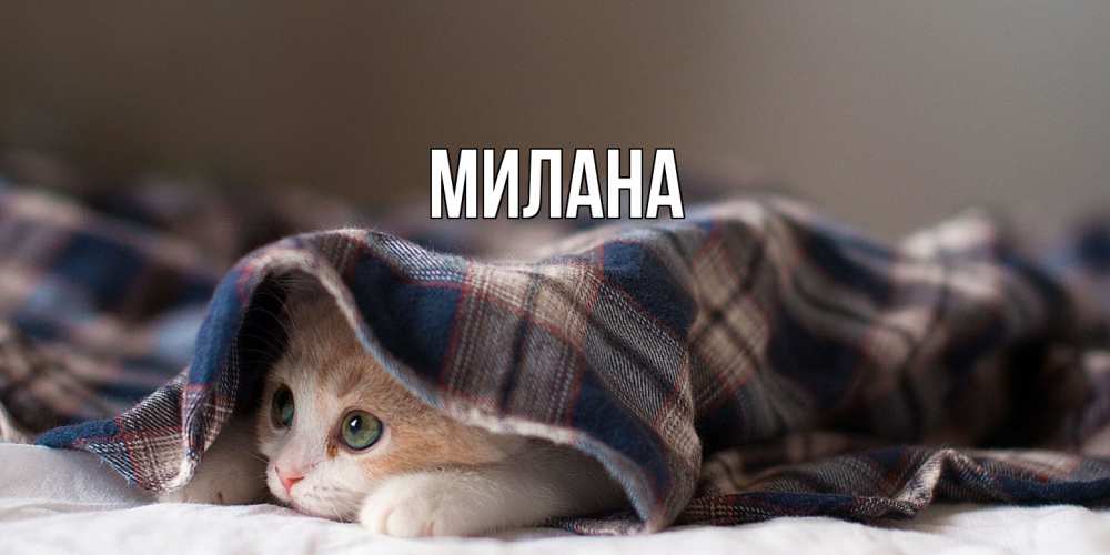 Открытка  с именем. Милана, Главная  