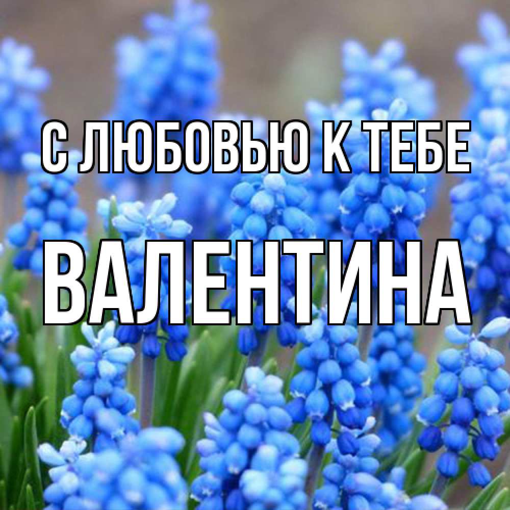 Открытка  с именем. валентина, С любовью к тебе  
