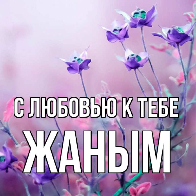 Картинка С любовью к тебе, Жаным