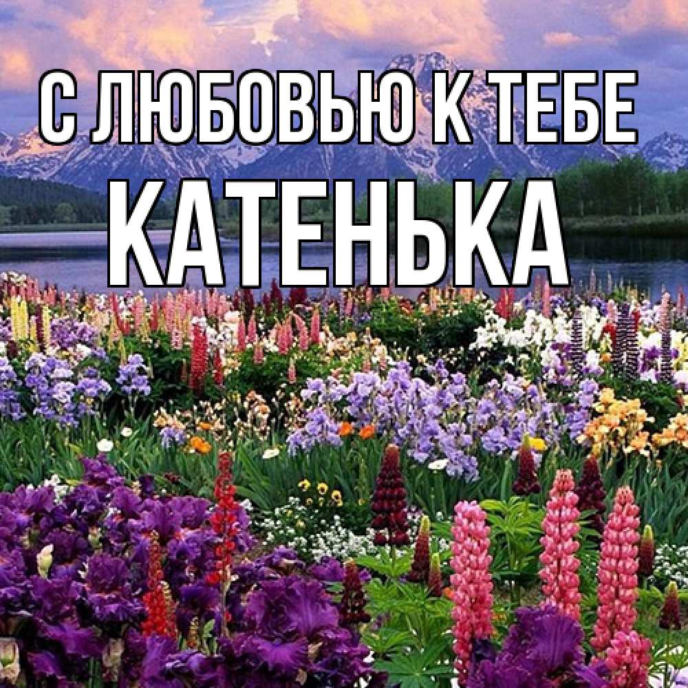 Открытка  с именем. Катенька, С любовью к тебе  