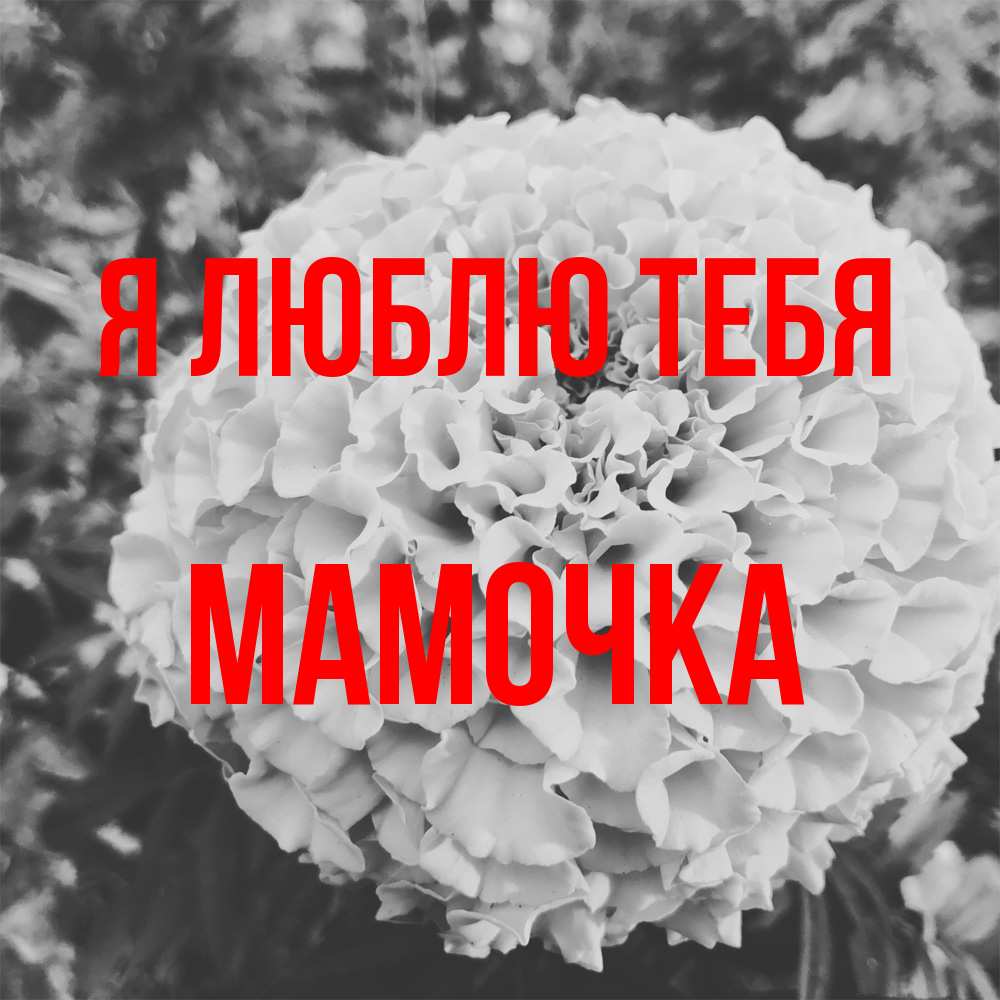 Открытка  с именем. Мамочка, Я люблю тебя  