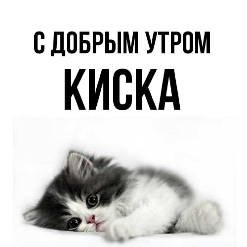 Картинка С добрым утром, Киска