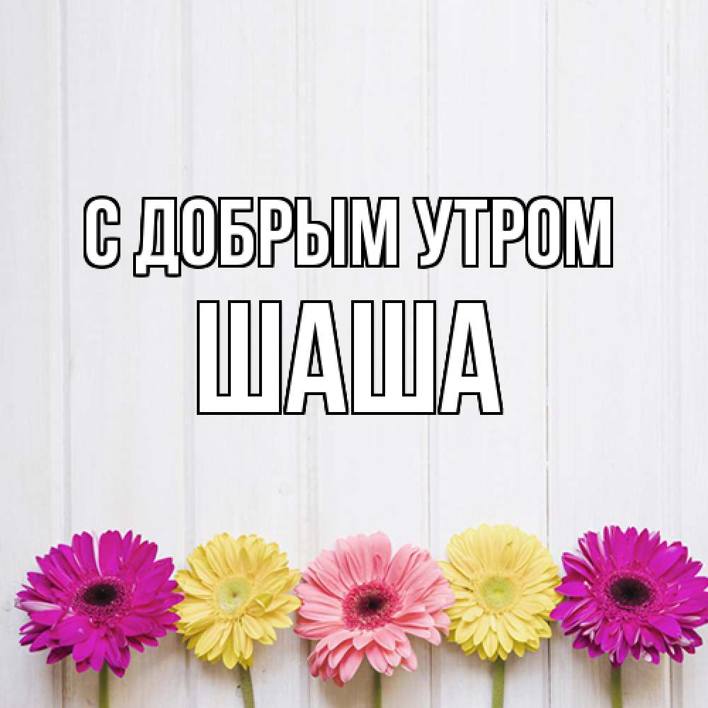 Открытка  с именем. Шаша, С добрым утром  