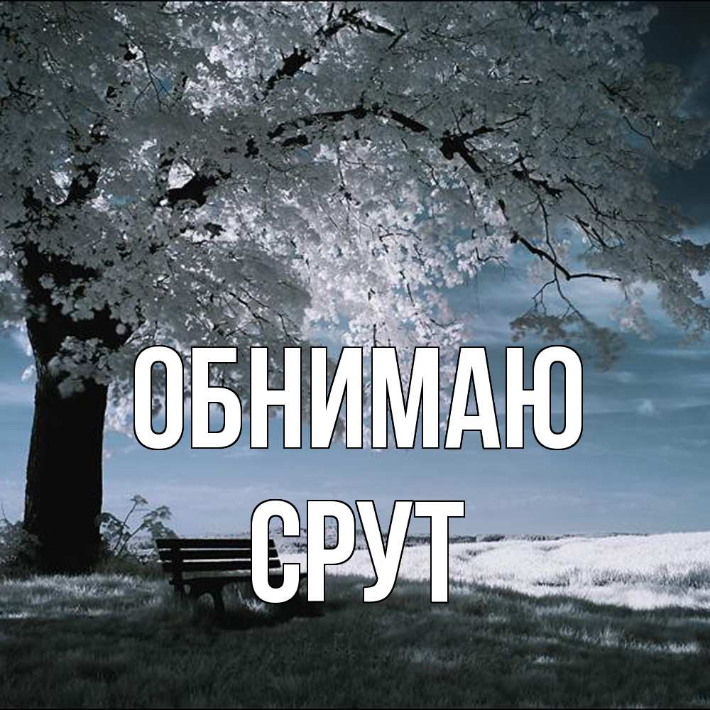 Открытка  с именем. срут, Обнимаю  