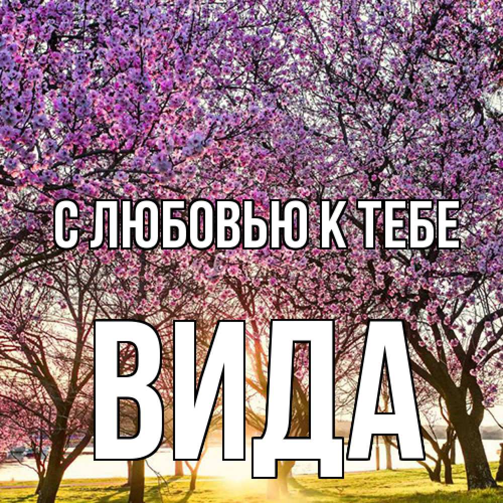 Открытка  с именем. Вида, С любовью к тебе  