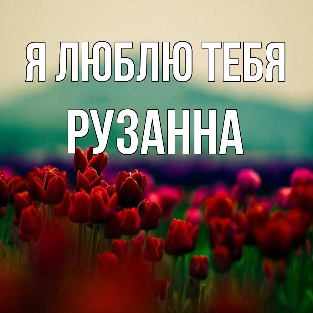 Открытка  с именем. Рузанна, Я люблю тебя  