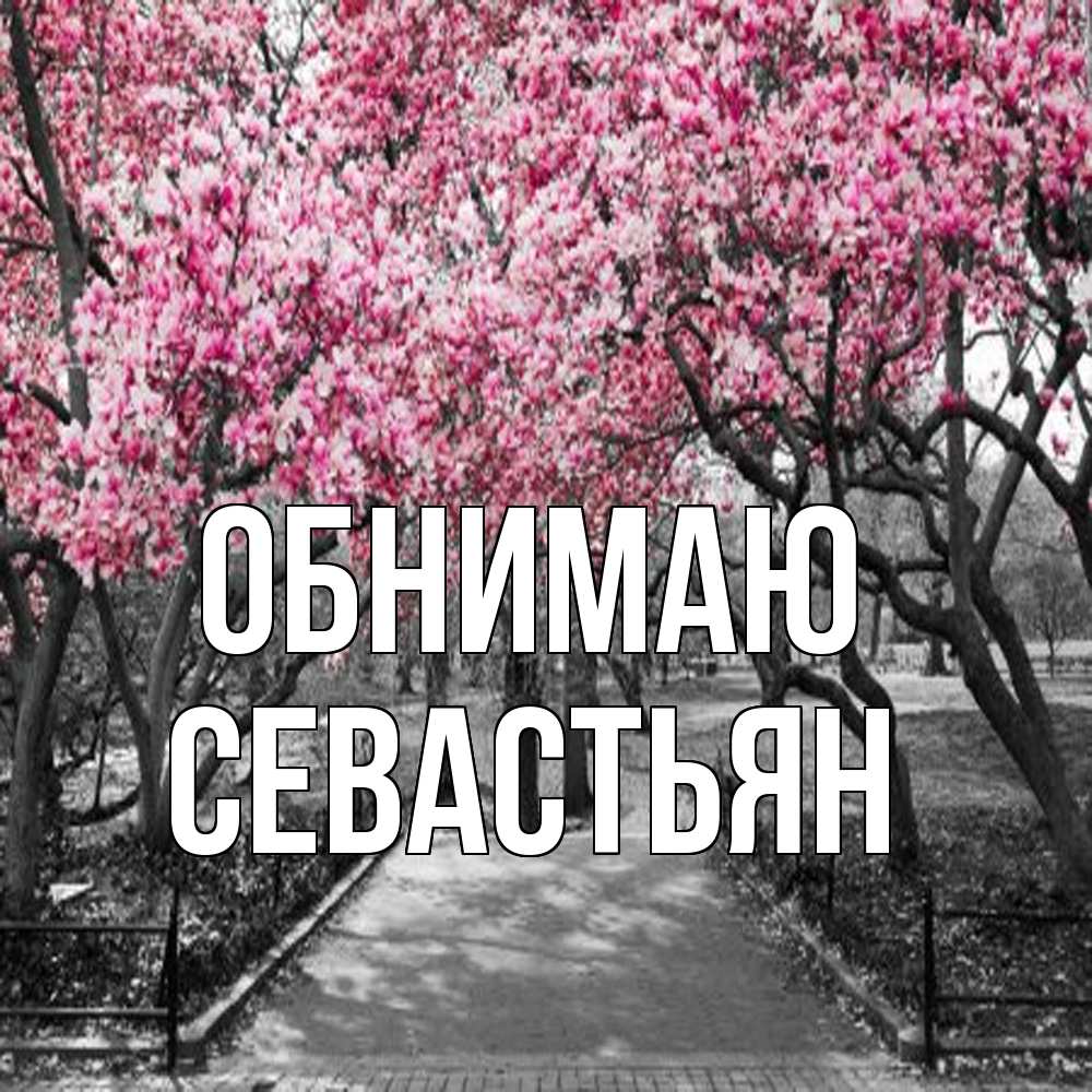 Открытка  с именем. Севастьян, Обнимаю  