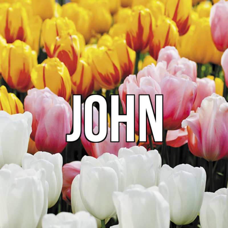 Картинка  с именем , John