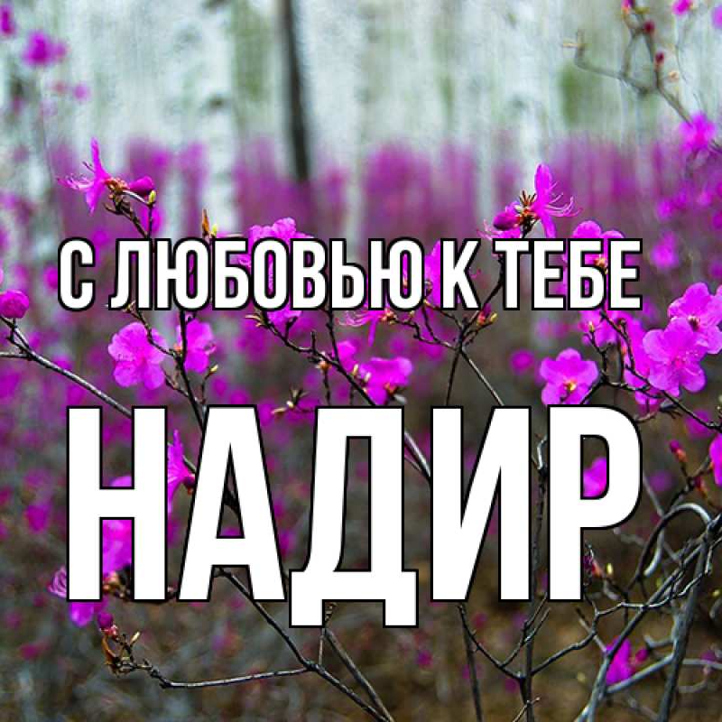 Картинка С любовью к тебе, Надир