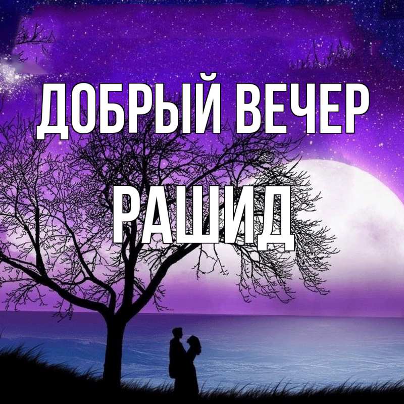 Картинка Добрый вечер, Рашид