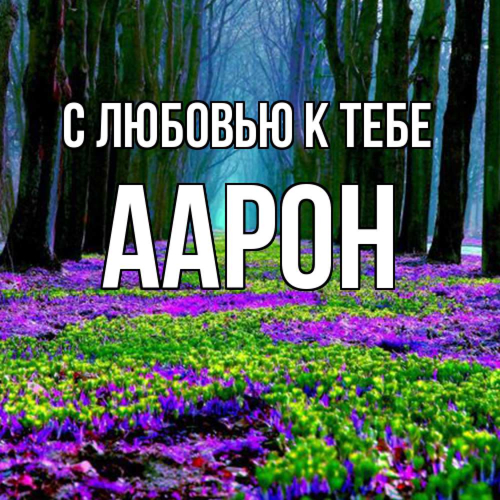 Открытка  с именем. Аарон, С любовью к тебе  