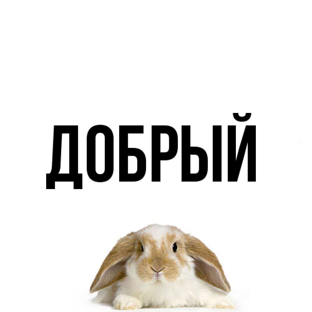 Открытка  с именем. Добрый, Главная  