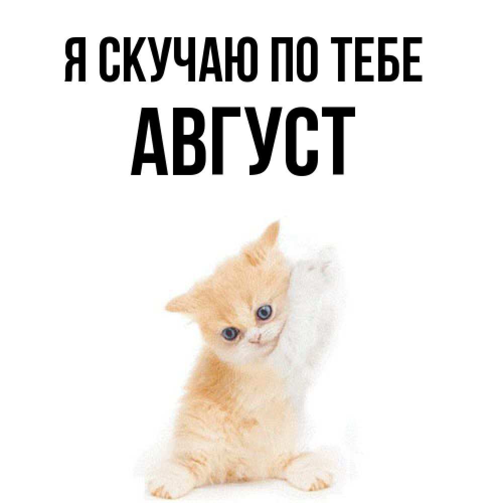 Открытка  с именем. Август, Я скучаю по тебе  