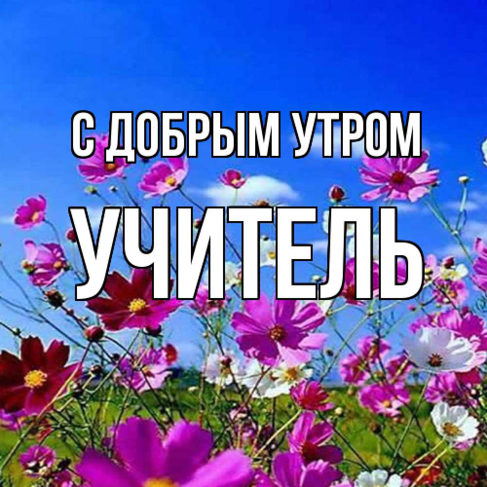 Открытка  с именем. Учитель, С добрым утром  