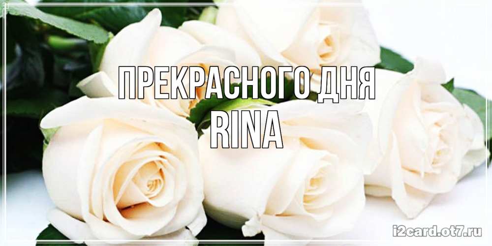 Открытка  с именем. Rina, Прекрасного дня  