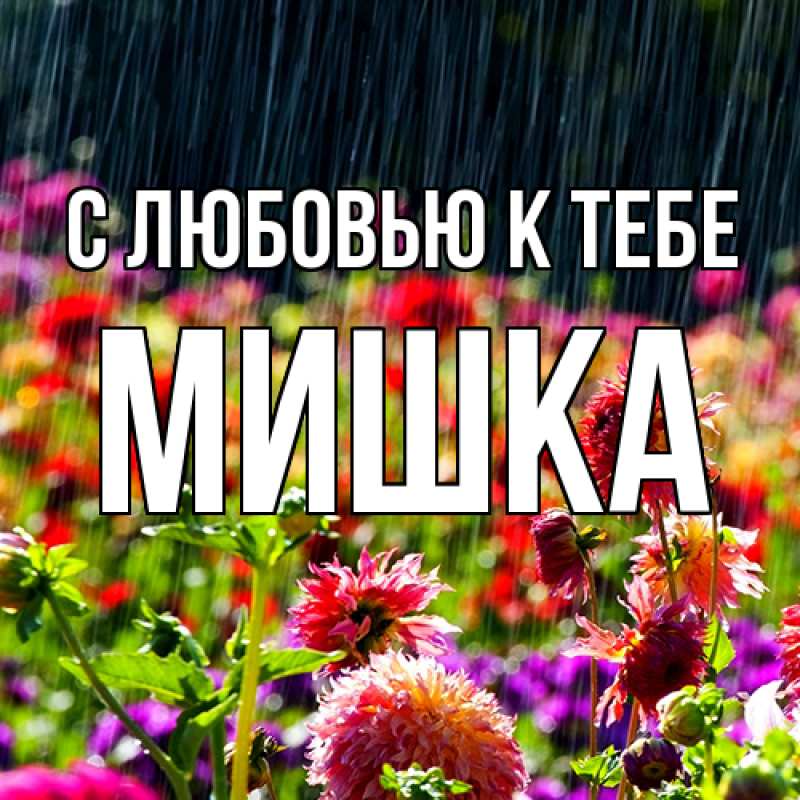 Картинка С любовью к тебе, Мишка