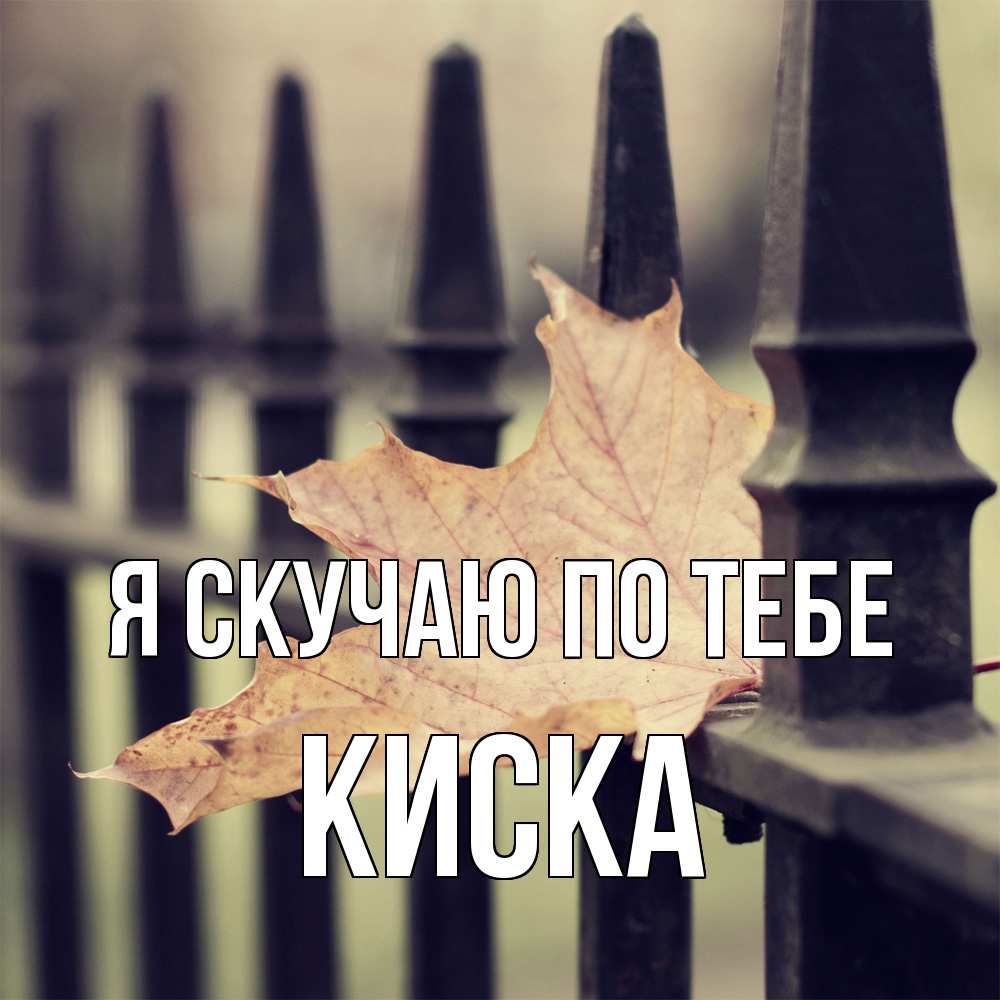 Открытка  с именем. Киска, Я скучаю по тебе  