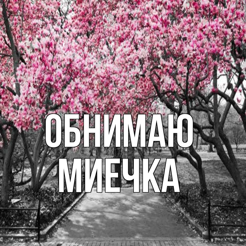 Открытка  с именем. Миечка, Обнимаю  