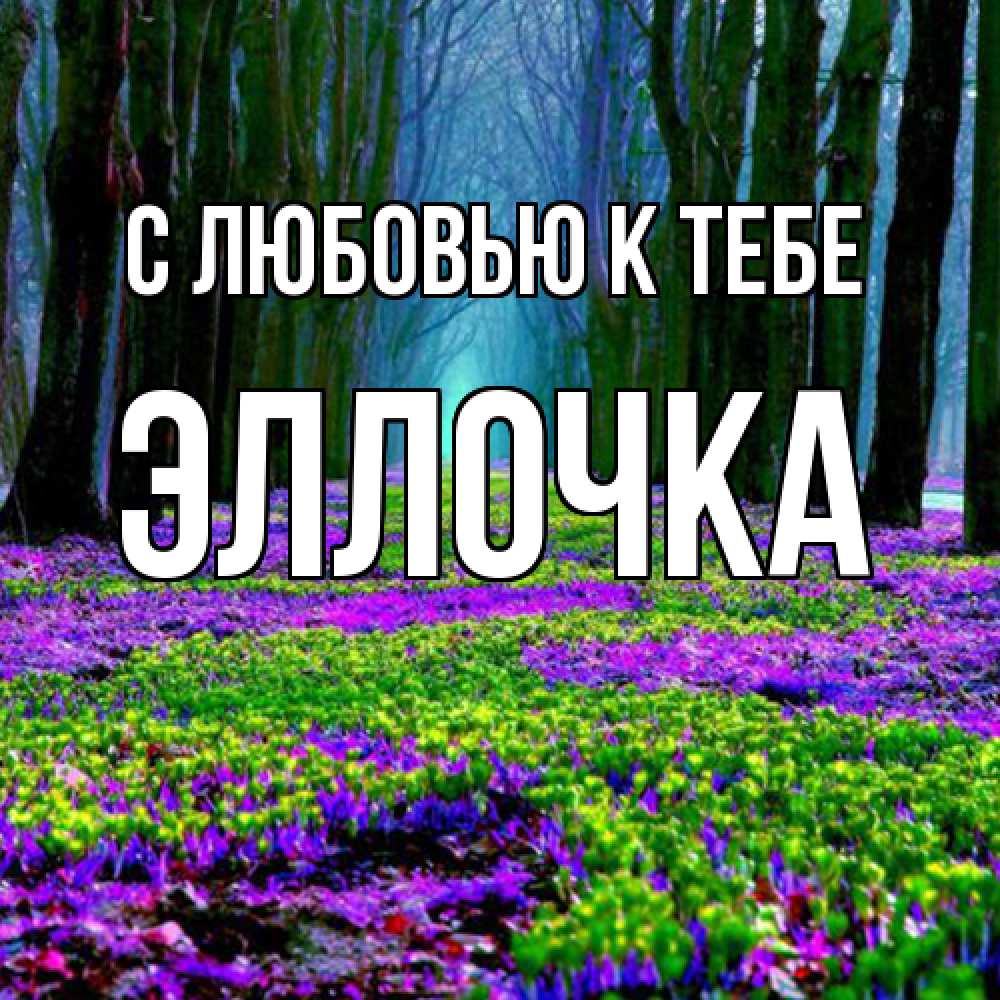 Открытка  с именем. Эллочка, С любовью к тебе  