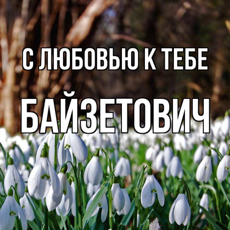 Картинка С любовью к тебе, Байзетович