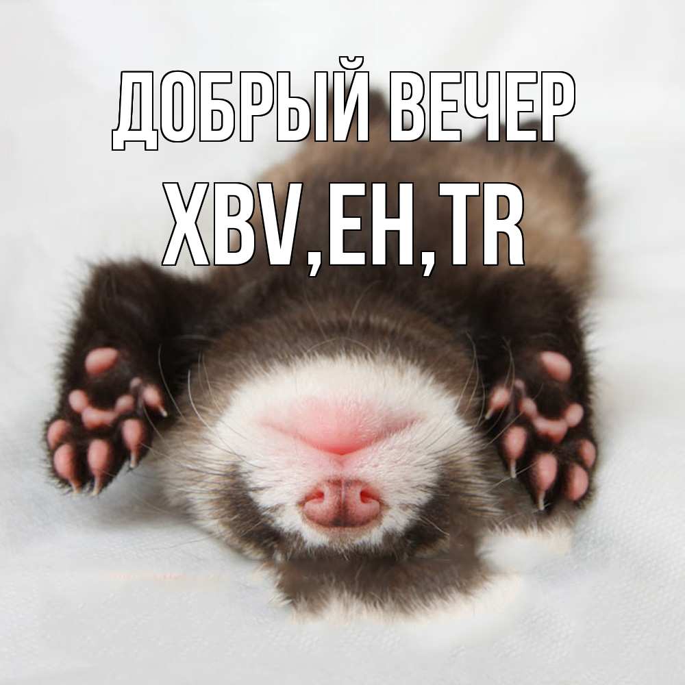 Открытка  с именем. xbv, Добрый вечер  