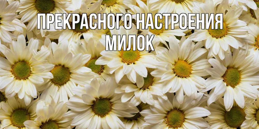 Открытка  с именем. Милок, Прекрасного настроения  