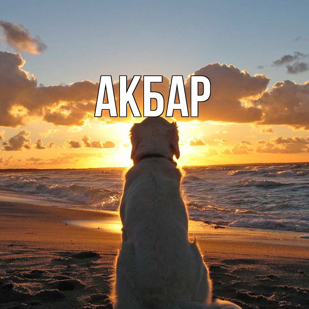 Открытка  с именем. Акбар, Главная  