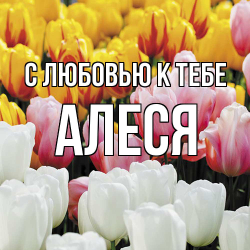 Открытка  с именем. Алеся, С любовью к тебе  