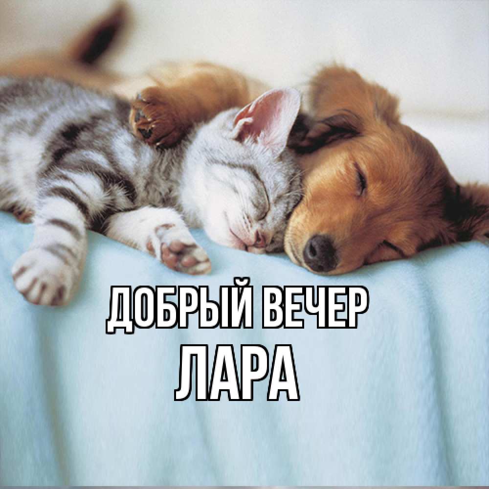 Открытка  с именем. Лара, Добрый вечер  