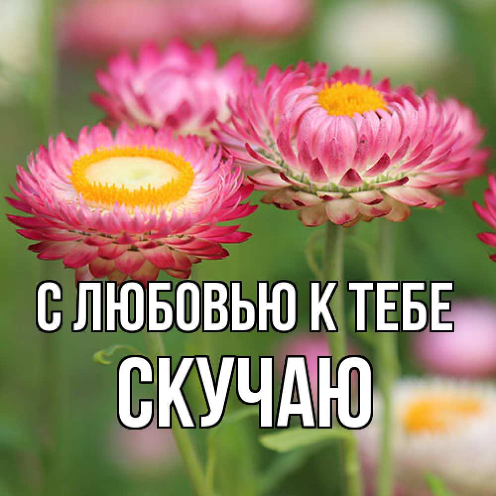 Открытка  с именем. Скучаю, С любовью к тебе  