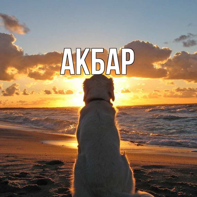 Картинка  с именем , Акбар