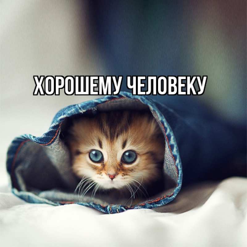 Картинка Хорошему человеку, 