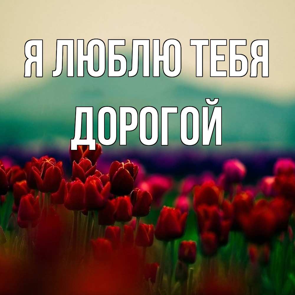 Открытка  с именем. Дорогой, Я люблю тебя  
